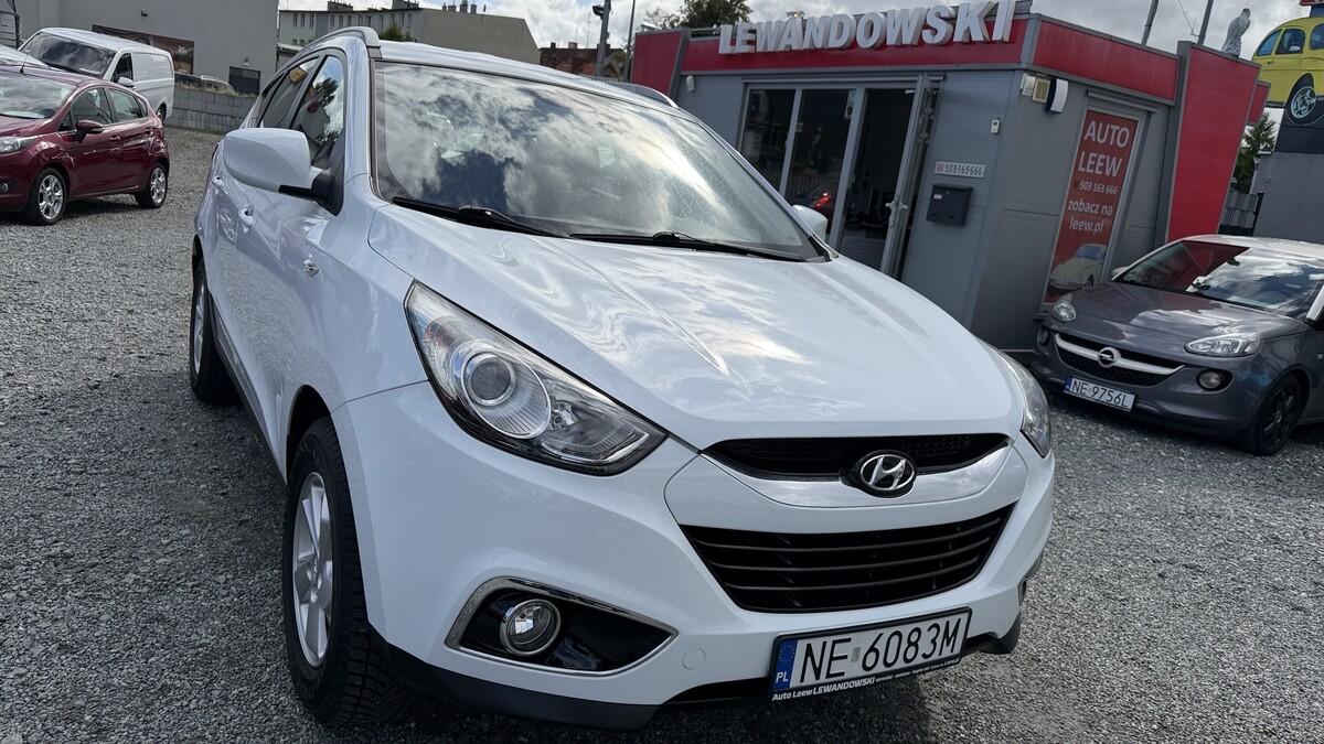 Elbląg Auto Leew LEWANDOWSKI Kupujemy i Sprzedajemy tylko dobre auta Za auta z Polskiego Salonu Płacimy Najwięcej