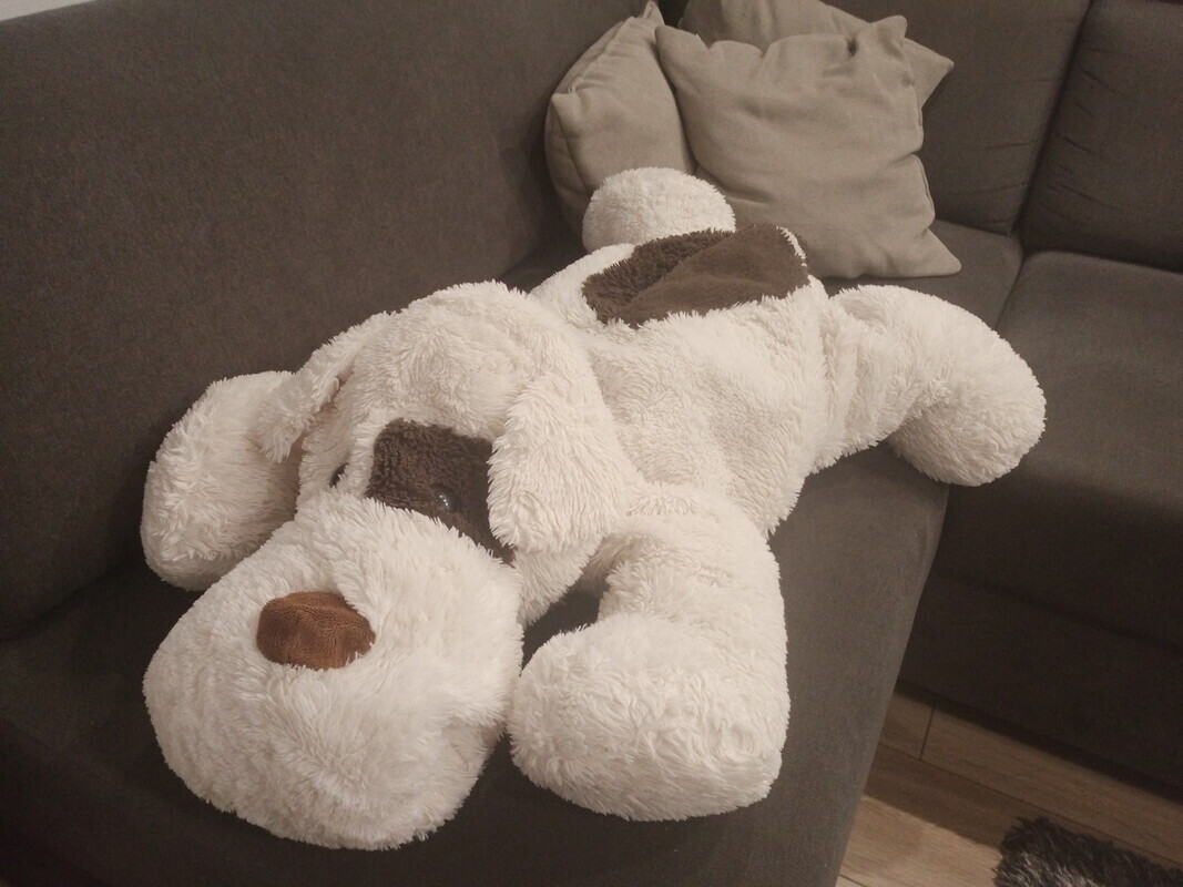 Elbląg Oddam za ptasie mleczko maskotkę - coś a La siedzisko, przytulankę - pieska ok. 100 cm długości w dobrym stanie