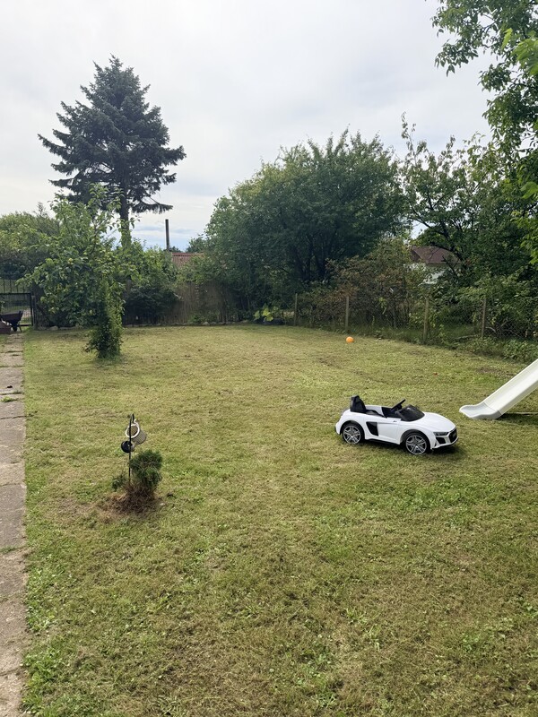 Elbląg ROD „Tęcza” Bielany (Elbląg) – ok. 400 m² Sprzedam cichą działkę 405 m² z prywatnym wyjściem do lasu! Media: