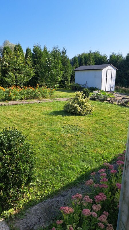 Elbląg Sprzedam zadbaną działkę ROD&nbsp; na Bielanach -&nbsp; cena do negocjacji&nbsp; 