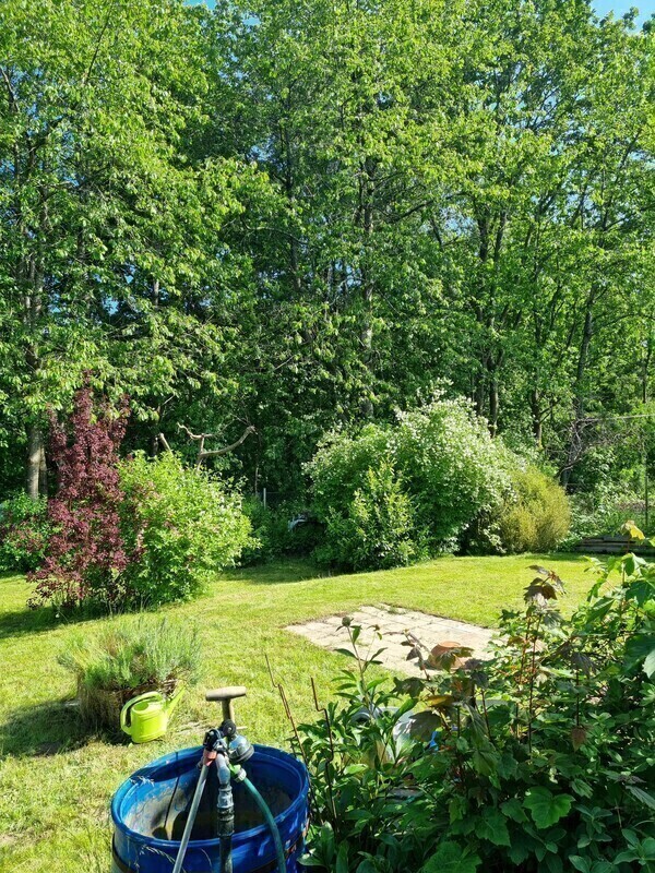 Elbląg 🌳 Działka ROD Bielany Wzgórze 🌞