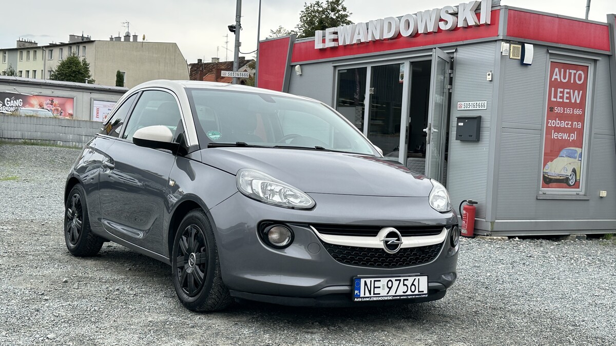 Elbląg Auto Leew LEWANDOWSKI Kupujemy i Sprzedajemy tylko dobre auta Za auta z Polskiego Salonu Płacimy Najwięcej OPEL