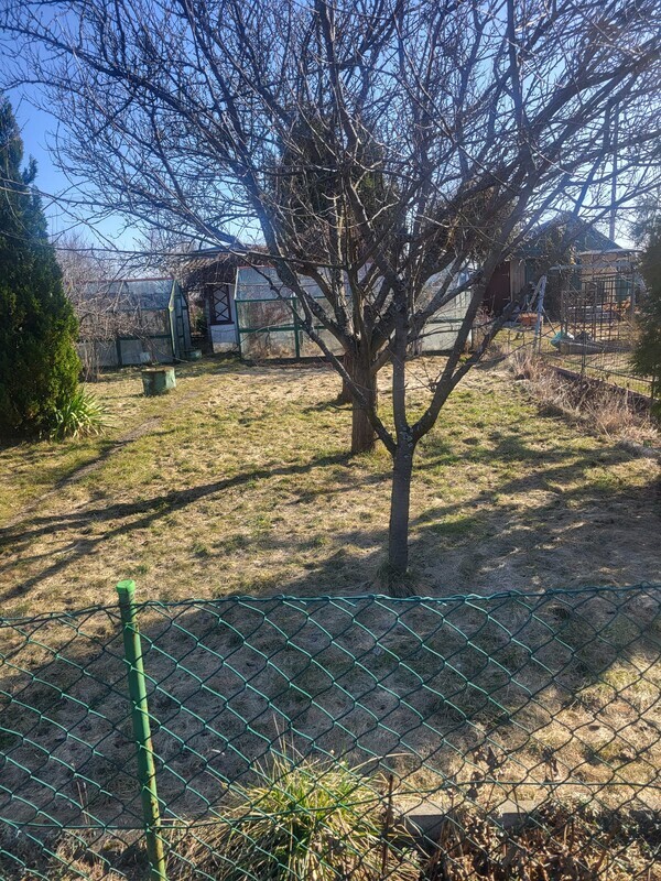 Elbląg Przekaż prawo własności działki RODO im. H. Sucharskiego przy ul. Królewieckiej