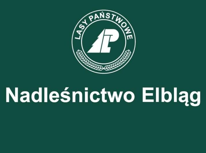 Elbląg OGŁOSZENIE&nbsp; Nadleśniczego Nadleśnictwa Elbląg&nbsp; o naborze na stanowiskoLEŚNICZEGO LEŚNICTWA KADYNYw