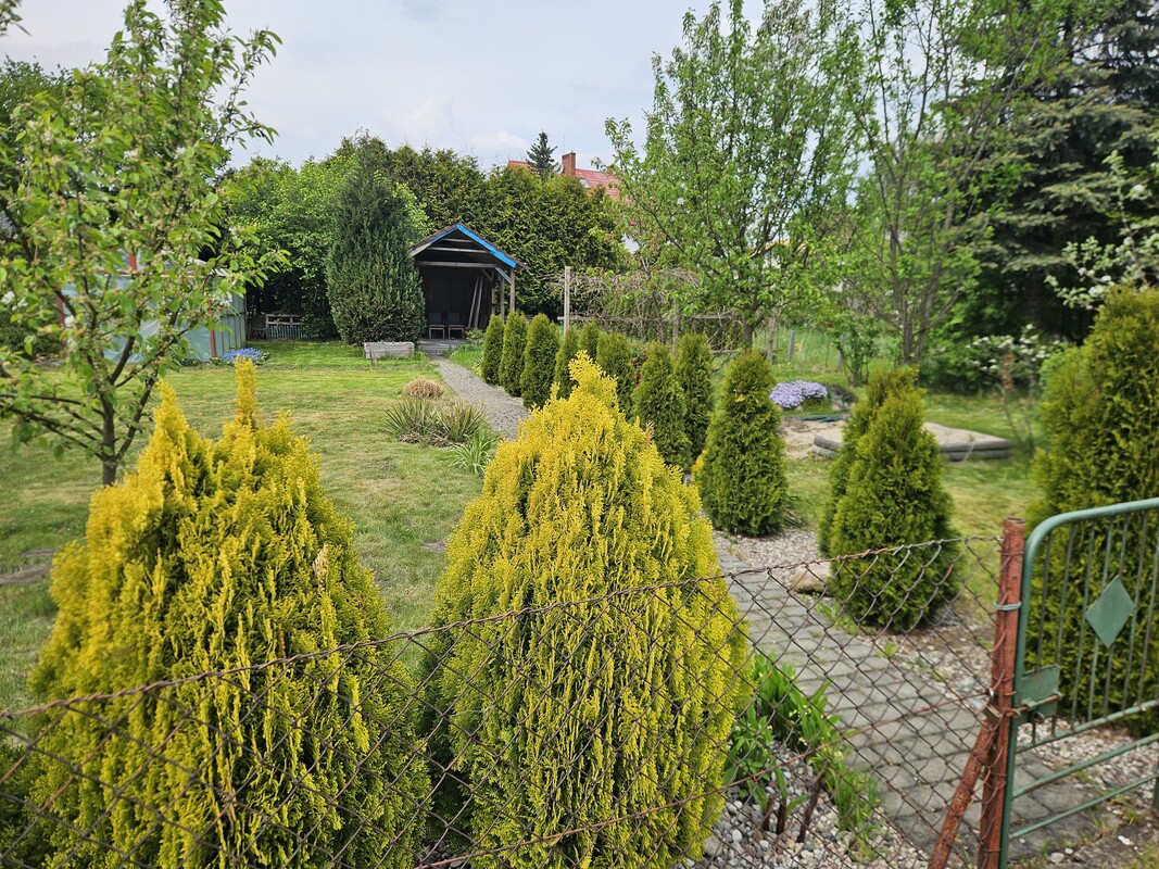 Elbląg Dzialka ROD im Kopernika przy ul. Klonowej. Działka zadbana i ogrodzona, z dostępem do prądu i wody. 
Na