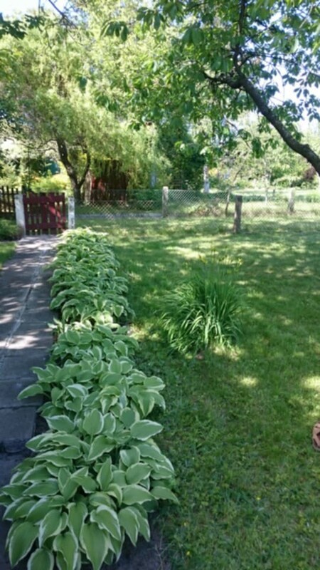 Elbląg 🌳 Sprzedam działkę 506 m&sup2; z altaną, piwnicą i drzewkami owocowymi! 🌞Na działce znajduje