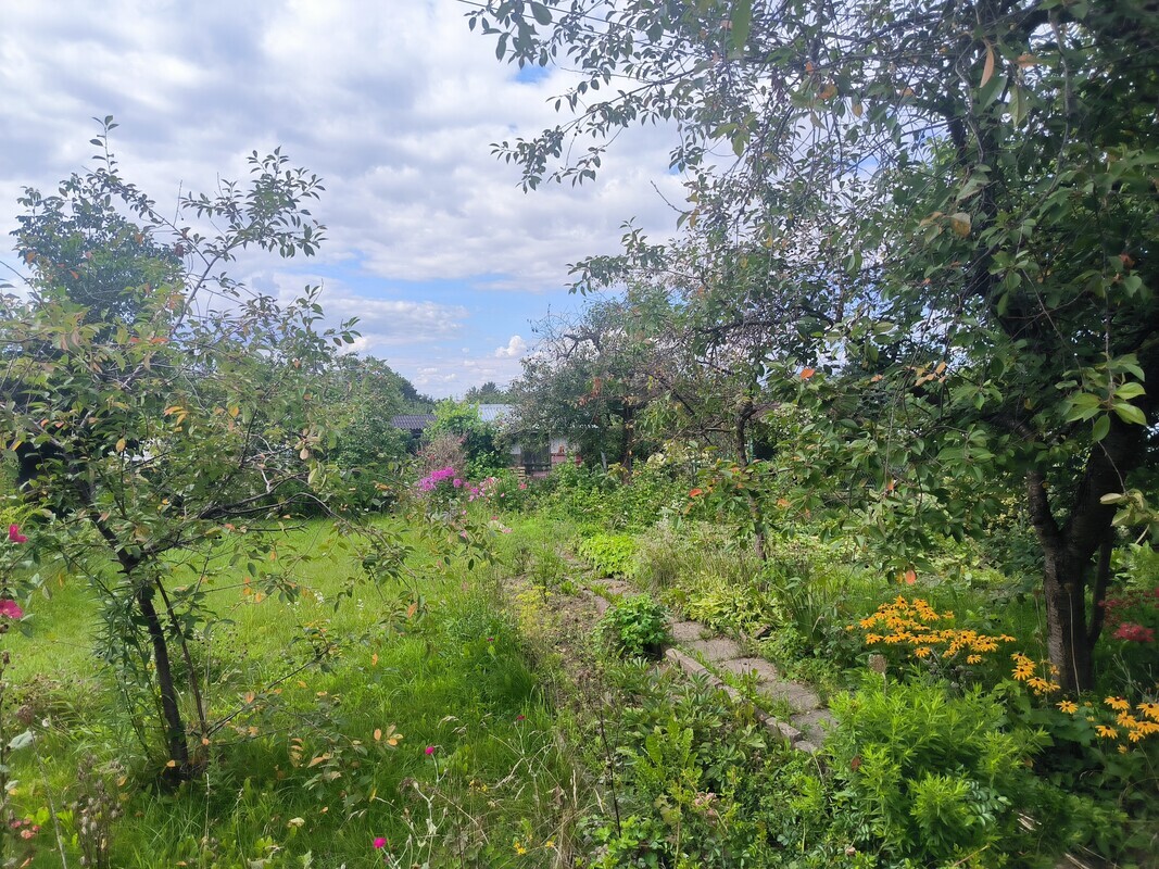 Elbląg Sprzedam działkę na ROD Sucharskiego.