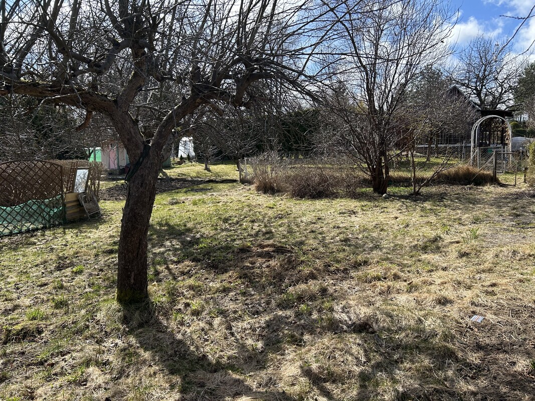 Elbląg Sprzedam Działkę ROD Tęcza-Bielany Elbląg.
