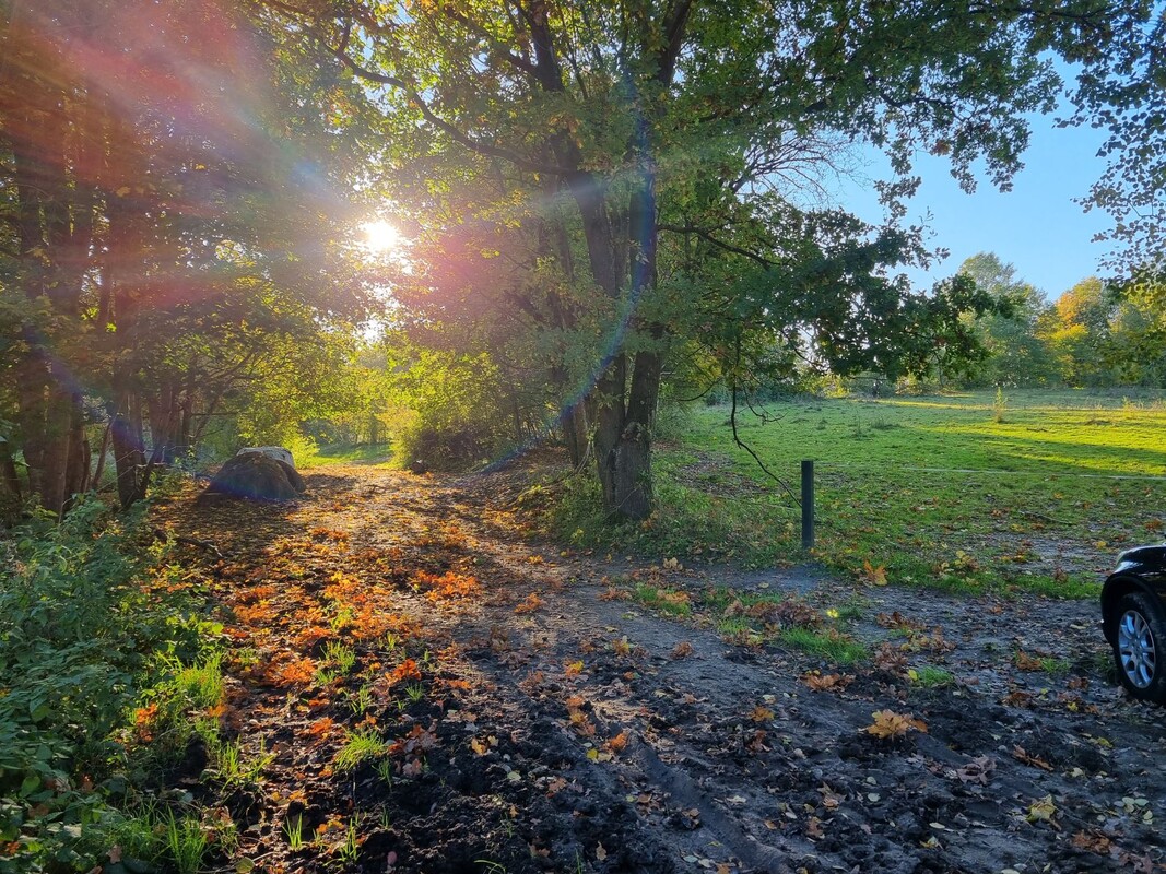Elbląg Sprzedam dużą działkę siedliskową w Zastawnie. Jej atutem jest bliski i dobry dojazd z Elbląga, jedynie 15