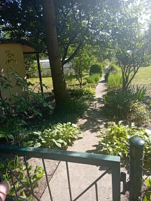 Elbląg Sprzedam Działkę na terenie ROD Bratek&nbsp; ul. Okrężna w Elblągu