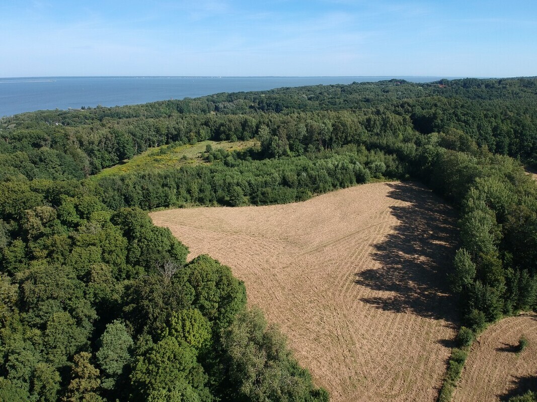 Elbląg SZULC & SZULC BIURO NIERUCHOMOŚCI NA SPRZEDAŻDziałka budowlano - usługowa - Kamionek Wielki /gmina