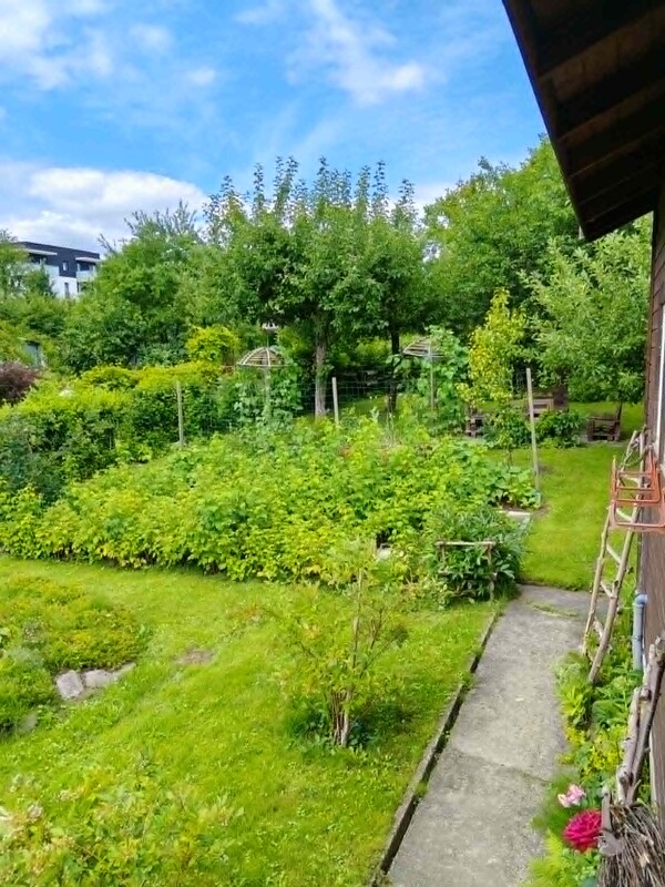 Elbląg Na sprzedaż działka ROD „ Bratek” w Elblągu – 720 m², zadbana, z domkiem i szklarnią