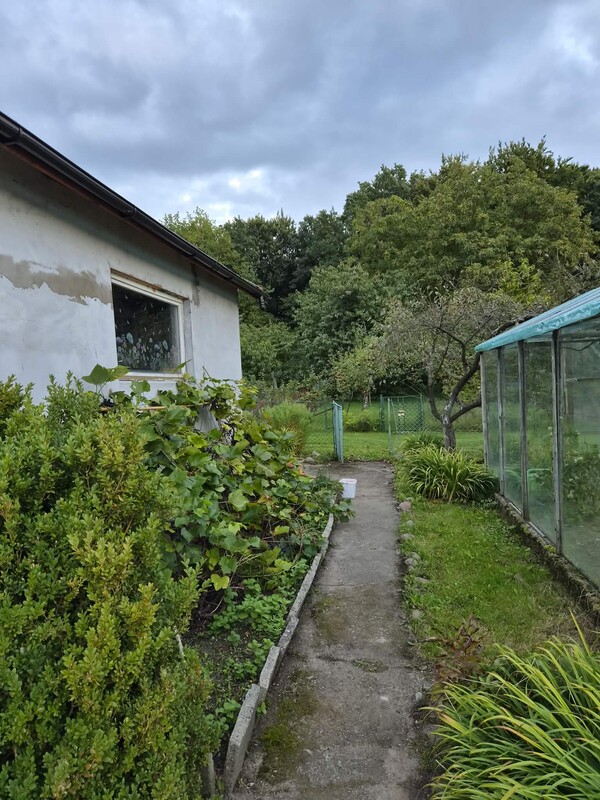 Elbląg Działka ROD Słoneczne Wzgórze 450 m² – odstąpię prawo do użytkowania | domek | szklarnia