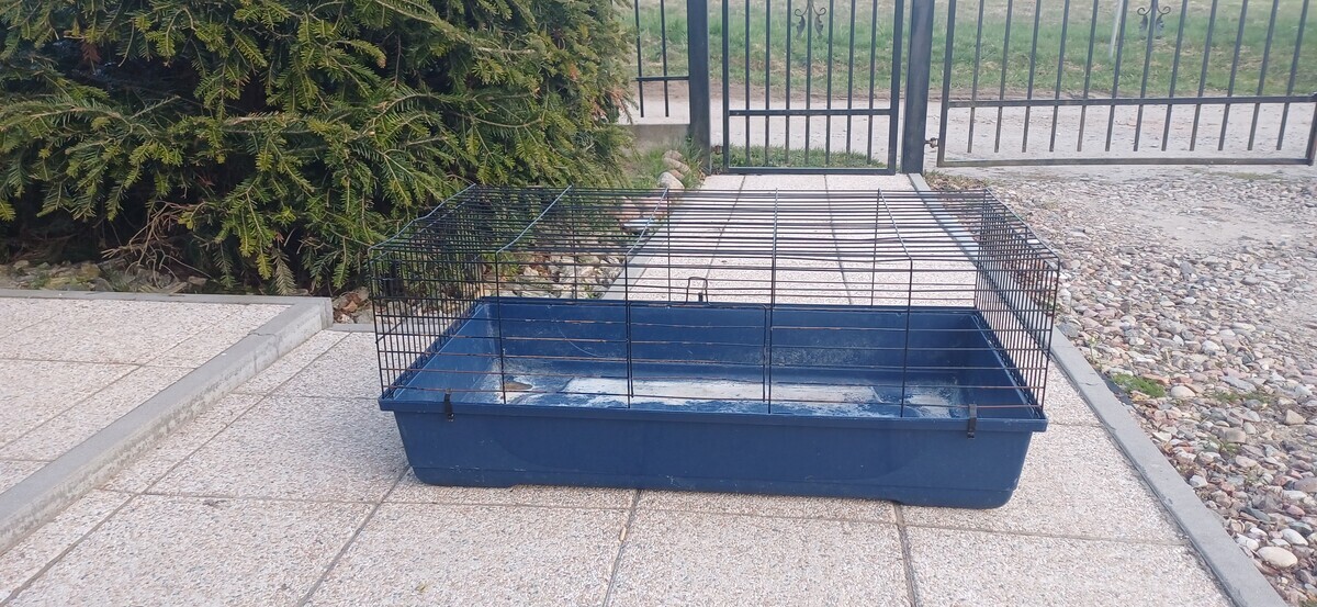 Elbląg Sprzedam klatkę dla królika lub świnek morskich. 
Wymiary 100x50x44