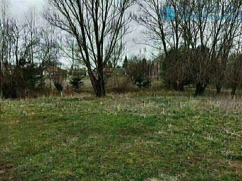 Elbląg 🏡 EL-FACTOR Nieruchomości - Sprzedam działkę w Pomorskiej Wsi!Działka niezabudowana, grunty klasy IVa