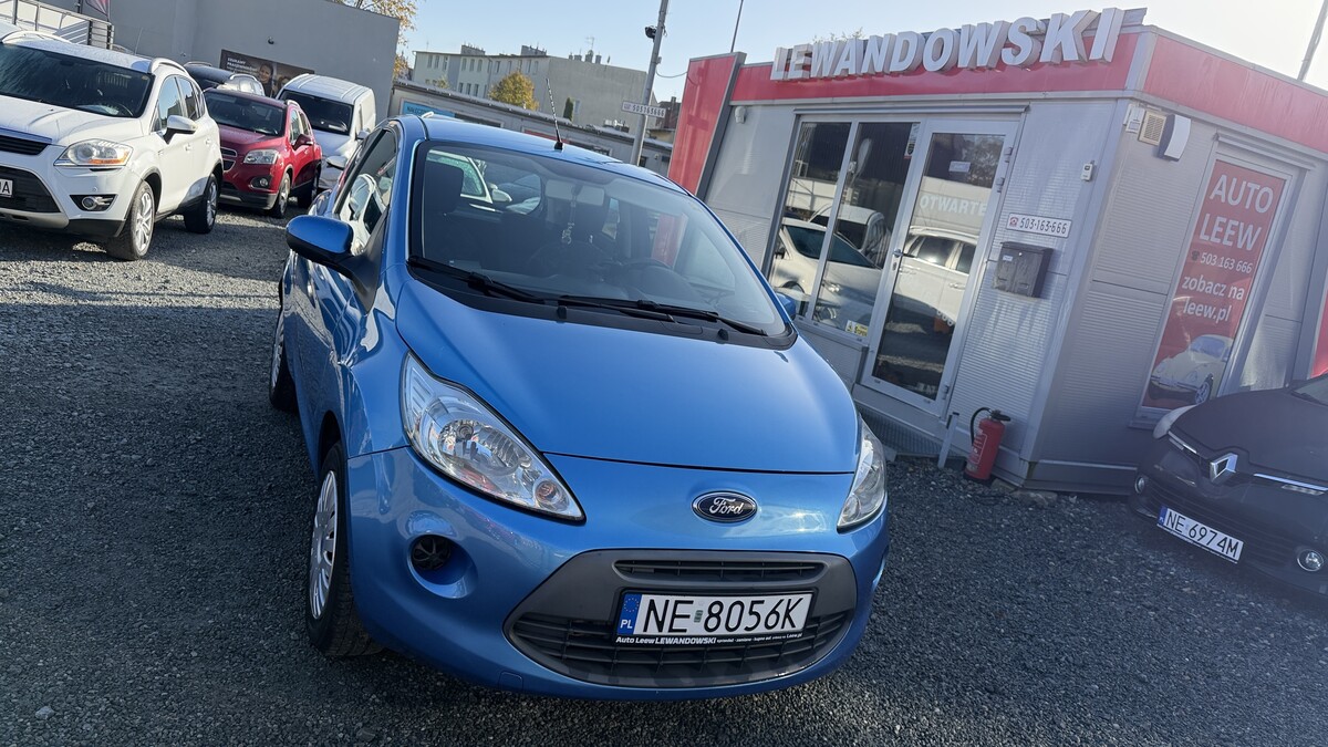 Elbląg Auto Leew LEWANDOWSKI Kupujemy i Sprzedajemy tylko dobre auta Za auta z Polskiego Salonu Płacimy Najwięcej FORD