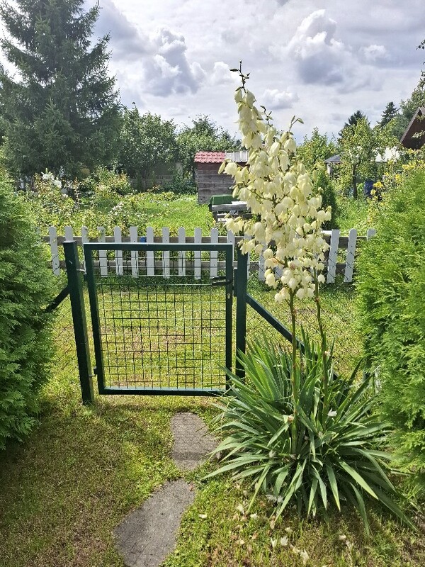 Elbląg Działka ROD PROMYK – Elbląg, ul. Akacjowa – 400 m² 🌿
💰 Cena: 25 000 zł
📞 Kontakt: 509 930 439
Na sprzedaż