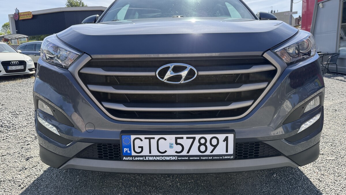 Elbląg Auto Leew LEWANDOWSKI