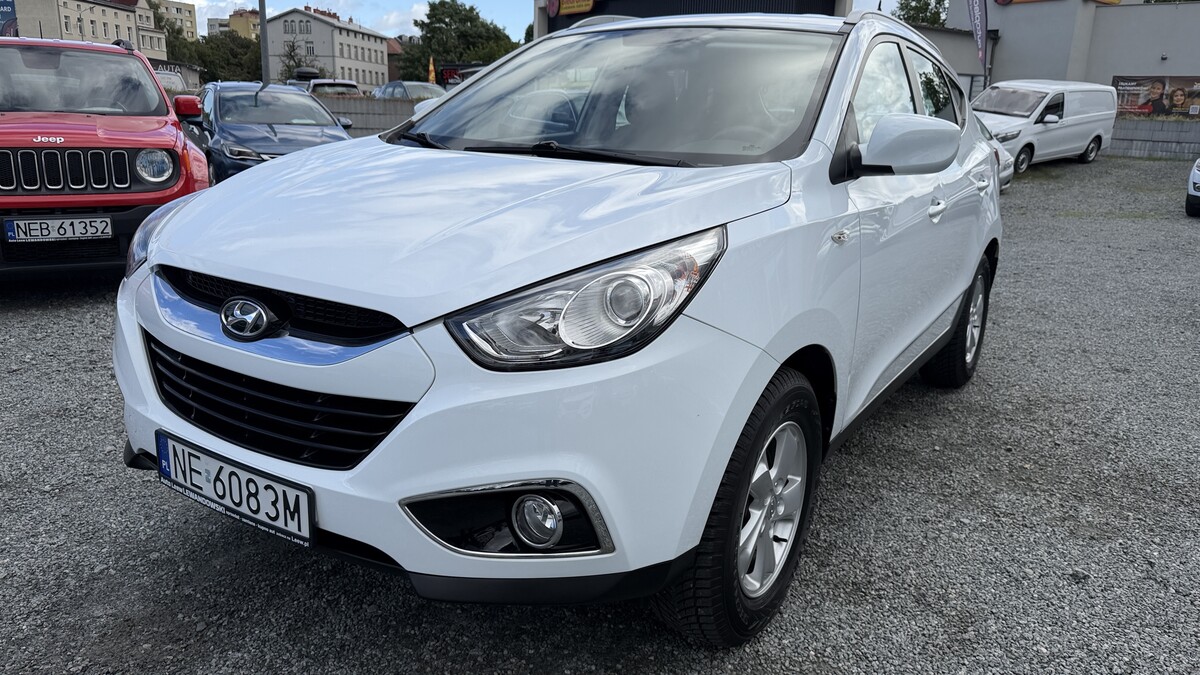 Elbląg Auto Leew LEWANDOWSKI Kupujemy i Sprzedajemy tylko dobre auta Za auta z Polskiego Salonu Płacimy Najwięcej