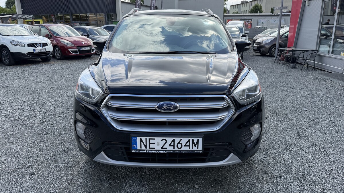 Elbląg Auto Leew LEWANDOWSKI Kupujemy i Sprzedajemy tylko dobre auta Za auta z Polskiego Salonu Płacimy Najwięcej FORD