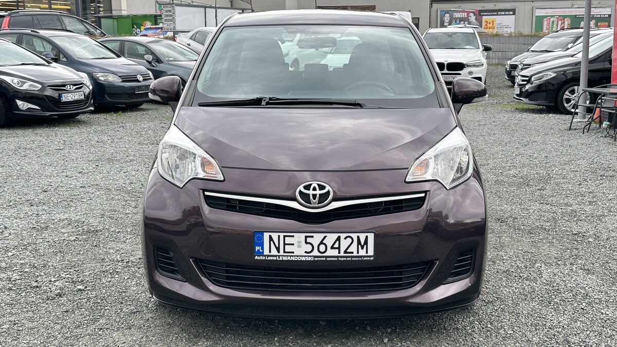 Elbląg Auto Leew LEWANDOWSKI Kupujemy i Sprzedajemy tylko dobre auta Za auta z Polskiego Salonu Płacimy Najwięcej