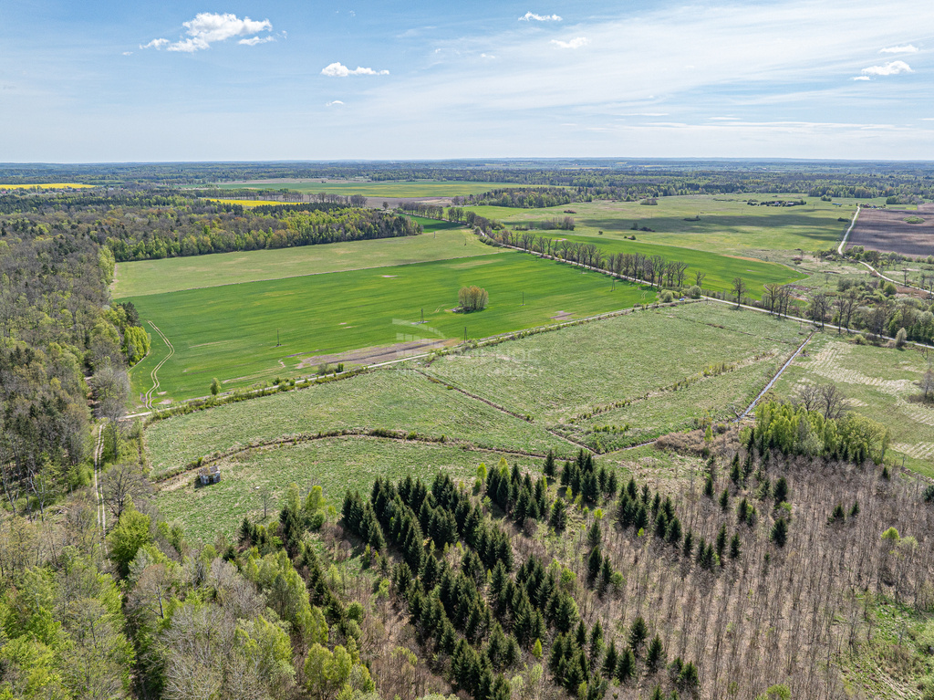 Elbląg PÓŁNOC NIERUCHOMOŚCISprzedam działkę - Pierławki. Na sprzedaż oferujemy grunt o łącznej powierzchni 6,2683
