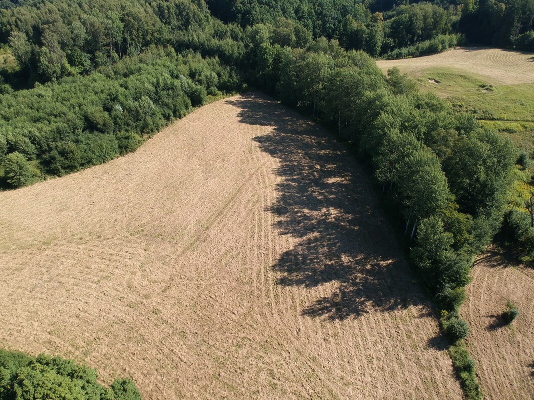 Elbląg SZULC & SZULC BIURO NIERUCHOMOŚCI NA SPRZEDAŻDziałka budowlano - usługowa - Kamionek Wielki /gmina