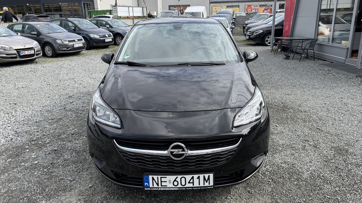 Elbląg Auto Leew LEWANDOWSKI Kupujemy i Sprzedajemy tylko dobre auta Za auta z Polskiego Salonu Płacimy Najwięcej OPEL