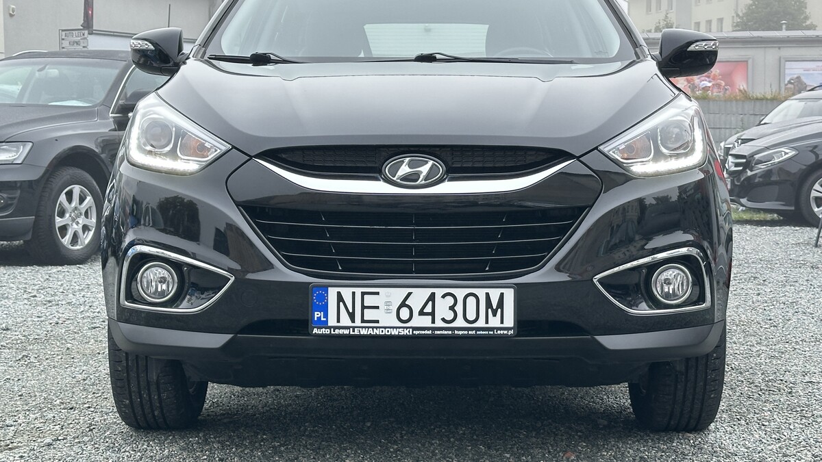 Elbląg Auto Leew LEWANDOWSKI Kupujemy i Sprzedajemy tylko dobre auta Za auta z Polskiego Salonu Płacimy Najwięcej