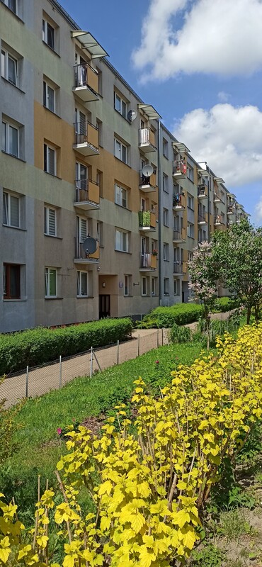 Elbląg Wynajmę mieszkanie 1 pokojowe po kapitalnym remoncie ( jeszcze przez nikogo niezamieszkałe )Lokal dla