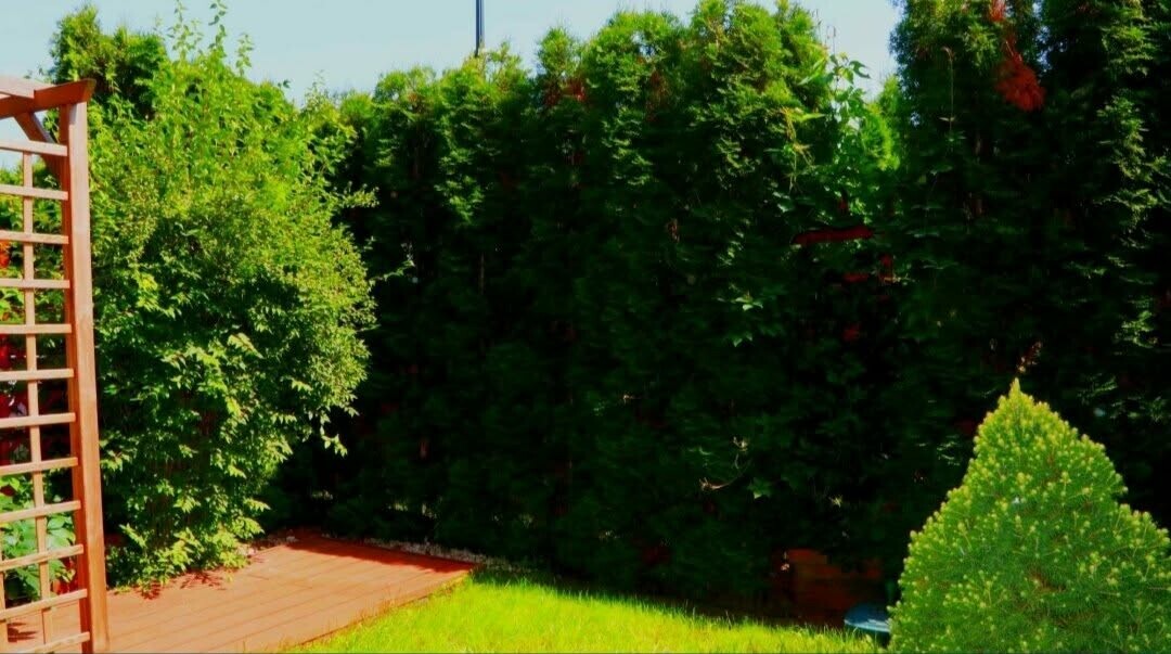 Elbląg Sprzedam wyposażone i słoneczne mieszkanie z wyjściem na własny ogród w nowym budownictwie w