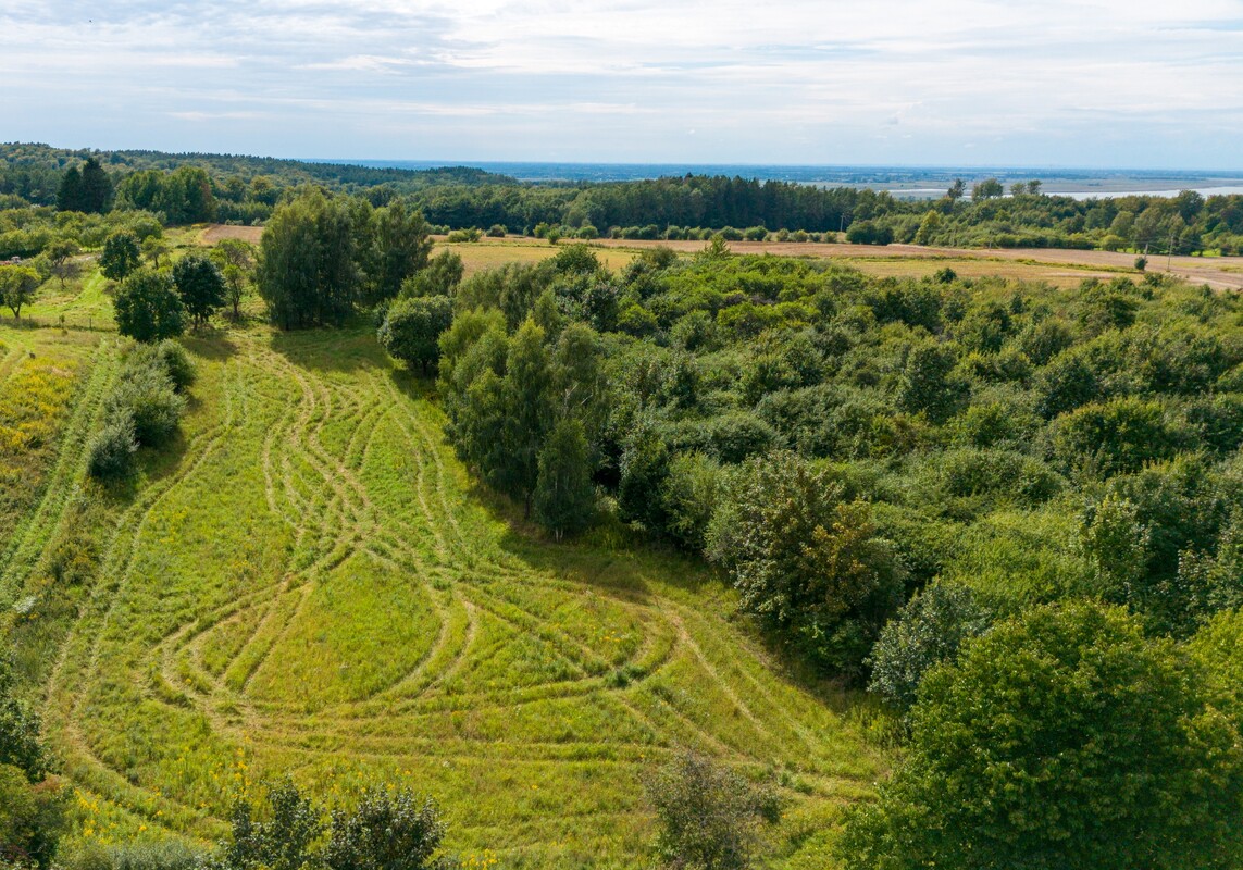 Elbląg Wyjątkowa działka rolna na sprzedaż w miejscowości Łęcze – 1 hektar! Prezentacja działki i okolicy z