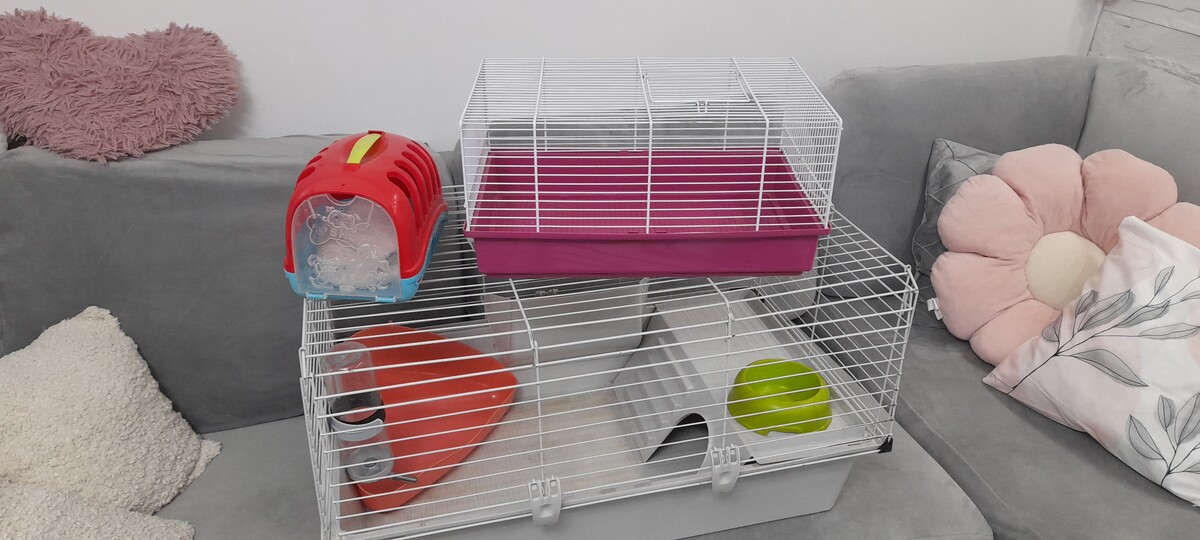 Elbląg Witam. Do sprzedania klatka dla chomika, świnki ewentualnie królika miniaturki. Klatka w bardzo dobrym stanie z