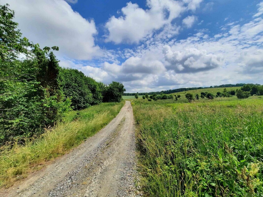 Elbląg SZULC & SZULC BIURO NIERUCHOMOŚCI Działka budowlana - Łęcze, gmina