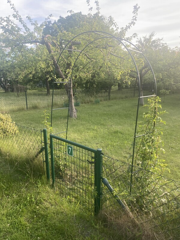 Elbląg NOWA NIŻSZA CENA
Sprzedam działkę w ROD im. ”Podchorążych”