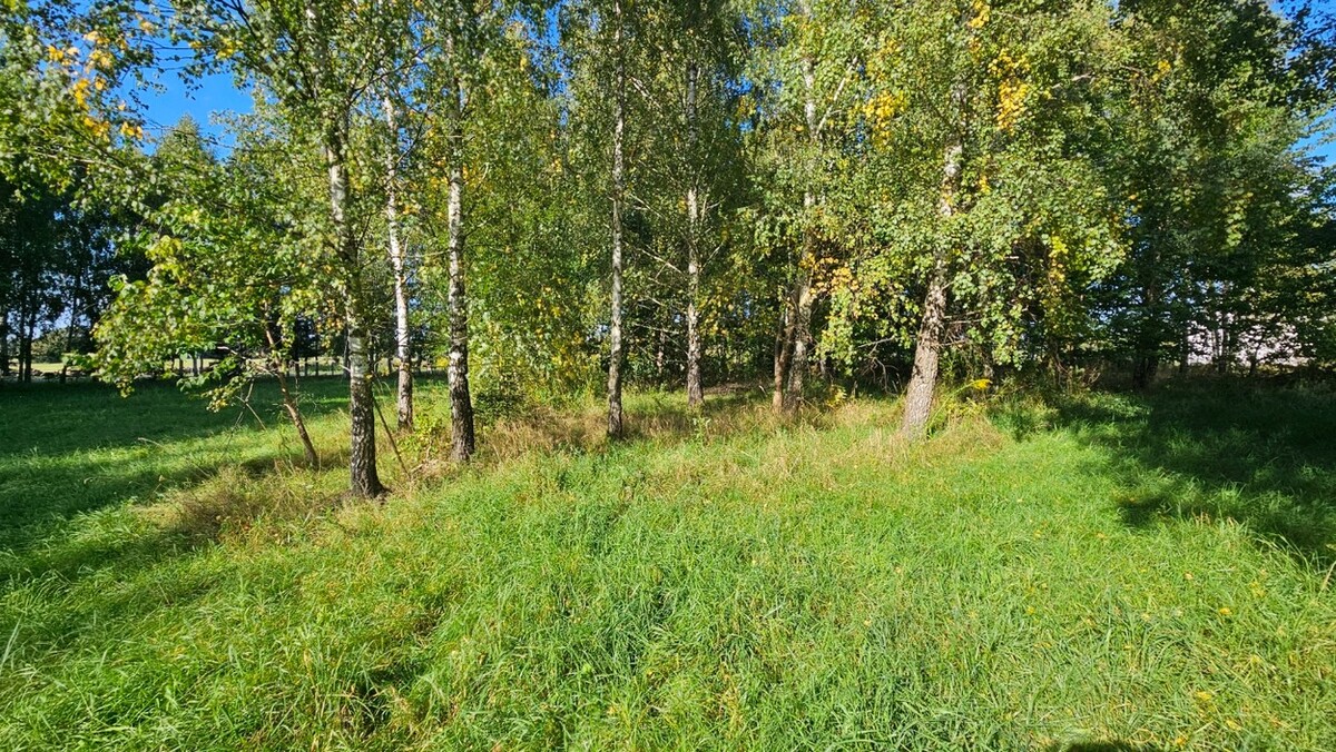 Elbląg BIURO NIERUCHOMOŚCISZULC& SZULCDziałka budowlana - Kamiennik Wielki, gmina MilejewoPowierzchnia - 3034 m2Na