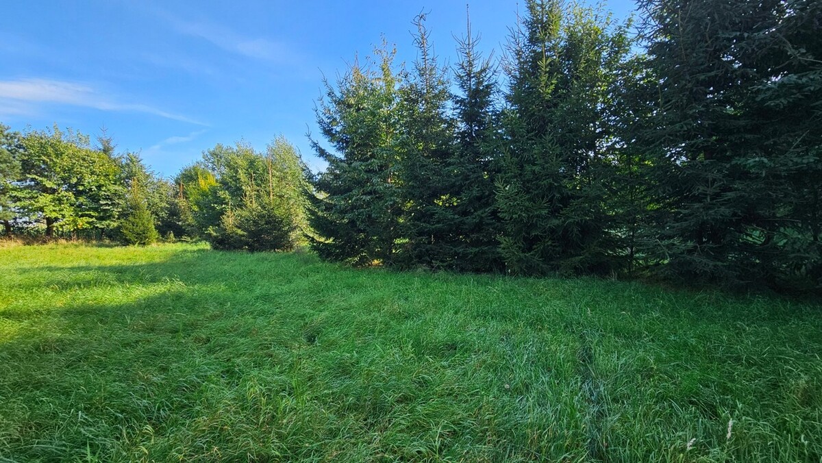 Elbląg BIURO NIERUCHOMOŚCISZULC& SZULCDziałka budowlana - Kamiennik Wielki, gmina MilejewoPowierzchnia - 3034 m2Na