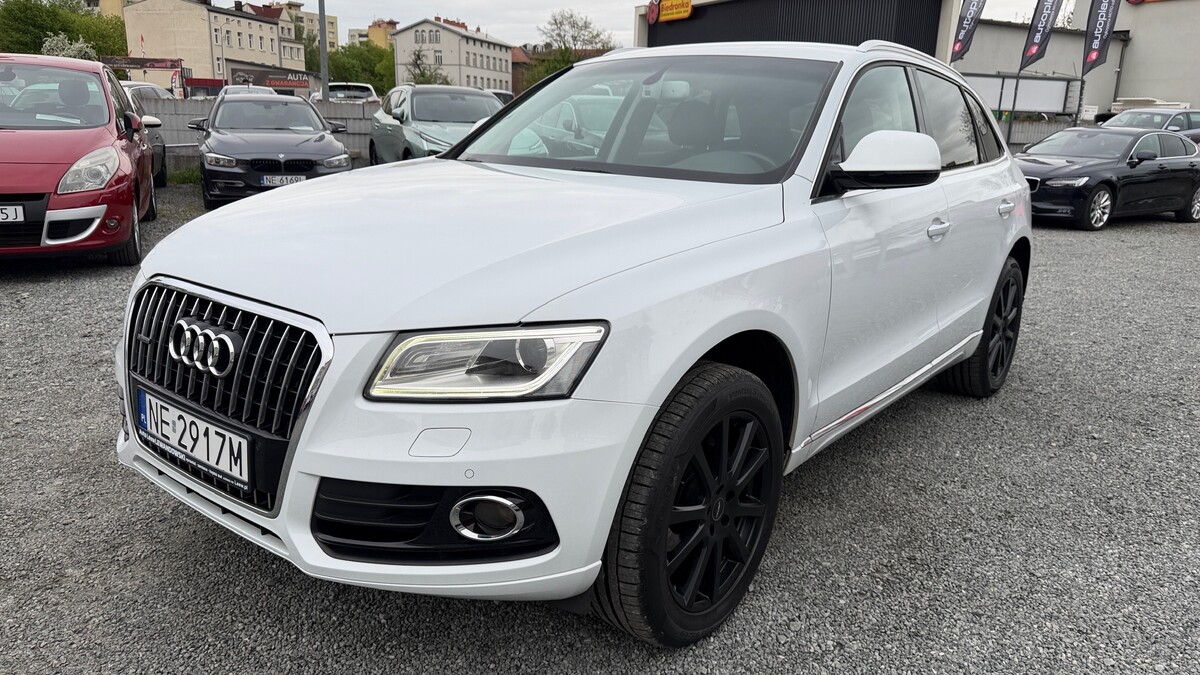 Elbląg Auto Leew LEWANDOWSKI Kupujemy i Sprzedajemy tylko dobre auta Za auta z Polskiego Salonu Płacimy Najwięcej AUDI
