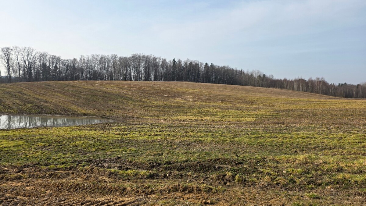 Elbląg SZULC & SZULC BIURO NIERUCHOMOŚCI NA SPRZEDAŻDziałka budowlana - Stare Monasterzysko /gmina