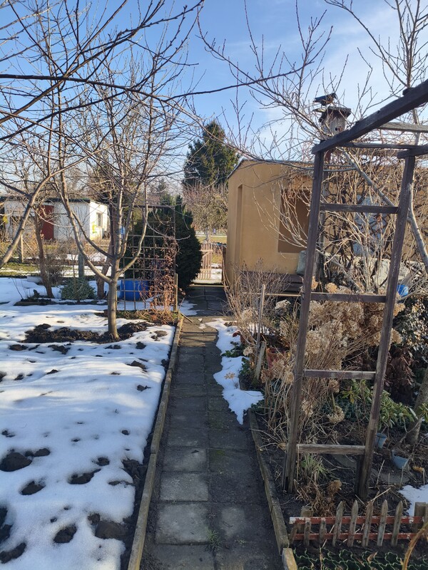 Elbląg 🌿 Twój zielony azyl w mieście! Wyjątkowa działka ROD przy ul. Druskiej na sprzedaż! 🏡