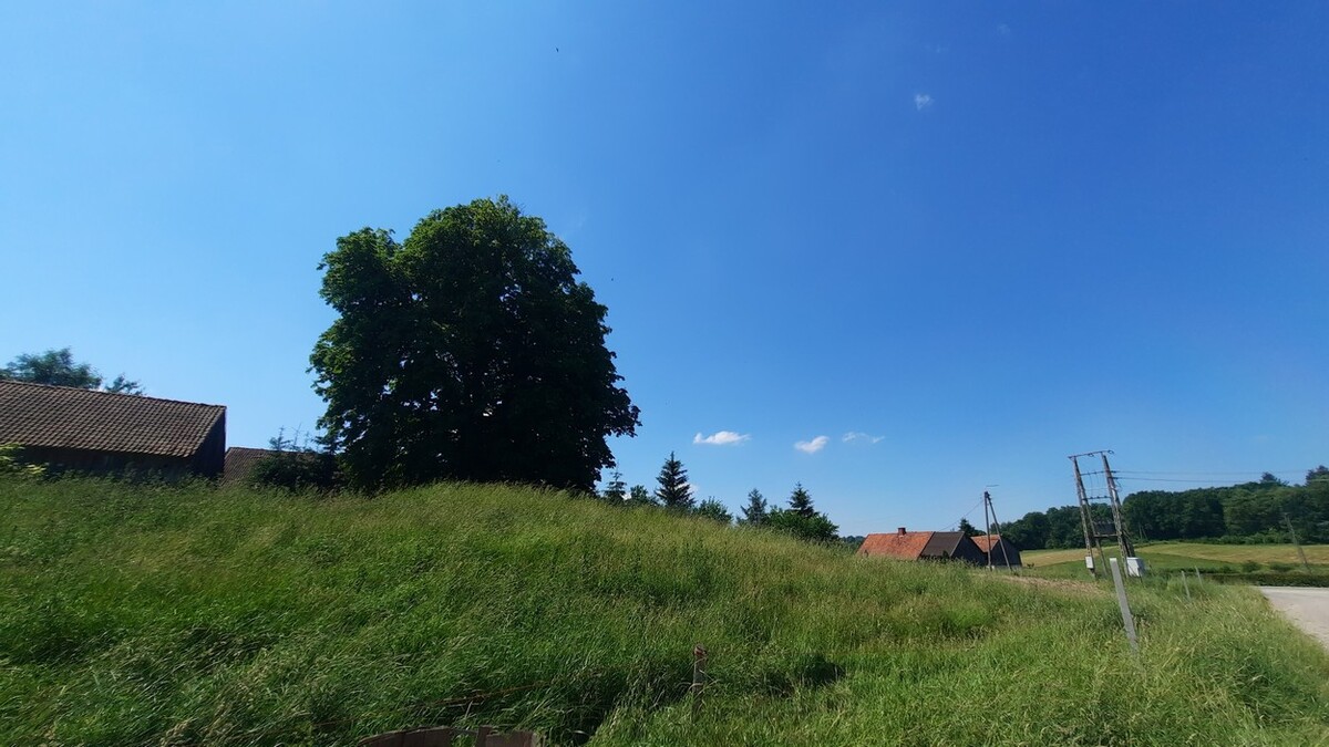 Elbląg SZULC & SZULC BIURO NIERUCHOMOŚCI NA SPRZEDAŻ Działka budowlana - Rychnowy, gmina MilejewoPowierzchnia: