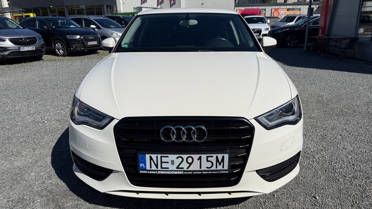 Elbląg Auto Leew LEWANDOWSKI