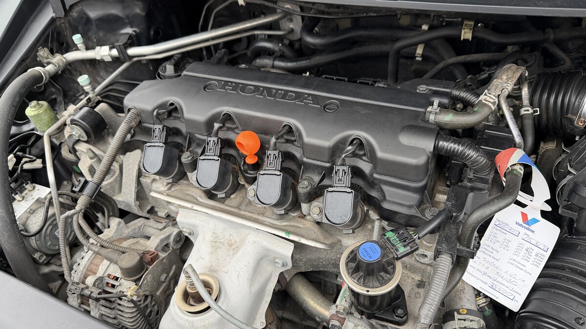 Elbląg Auto Leew LEWANDOWSKI