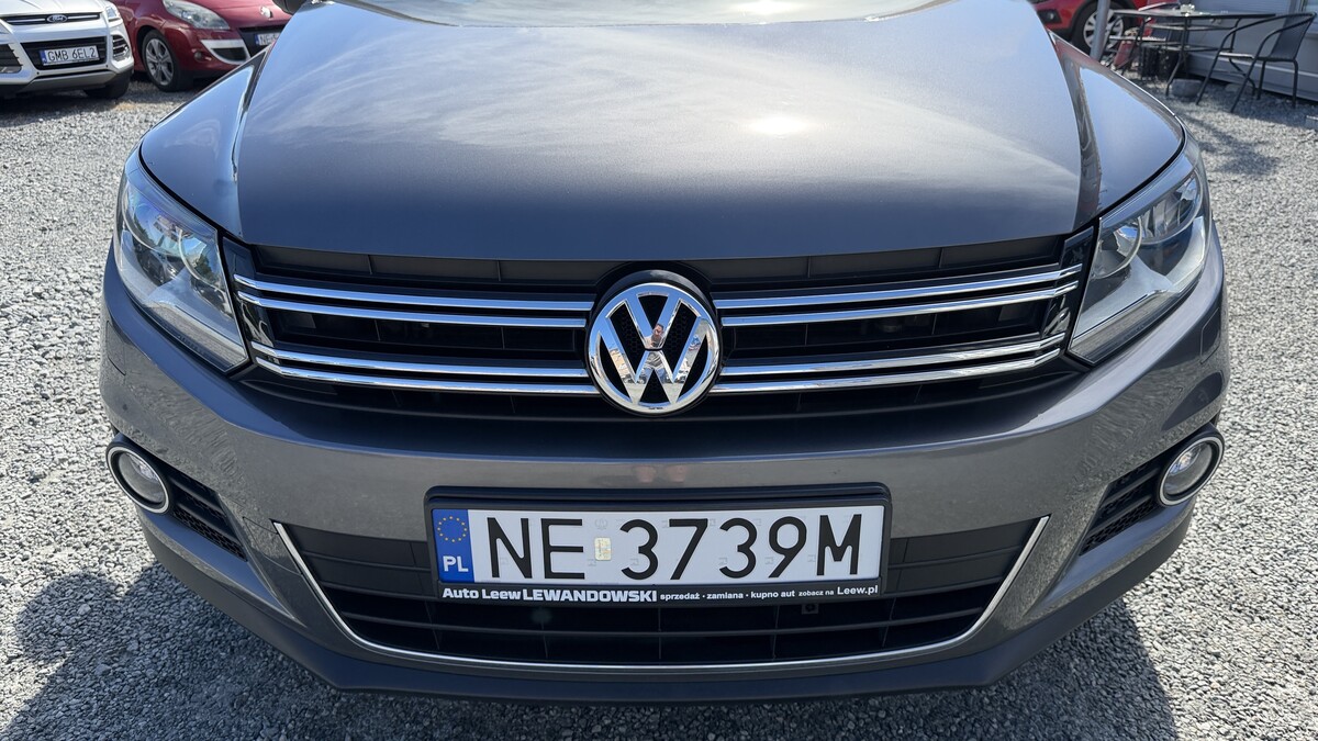 Elbląg Auto Leew LEWANDOWSKI