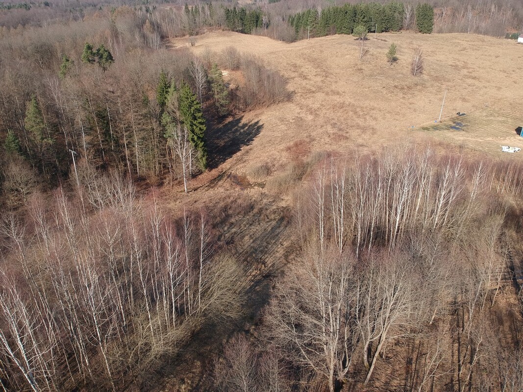Elbląg SZULC & SZULC BIURO NIERUCHOMOŚCI NA SPRZEDAŻDziałka budowlana - Elbląg ul. JaworowaPowierzchnia: 5075 m2