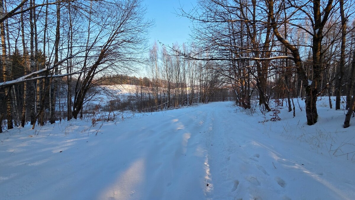 Elbląg BIURO NIERUCHOMOŚCISZULC& SZULCDziałka budowlana w miejscowości Elbląg ul. Jaworowa /Dąbrowa/ o