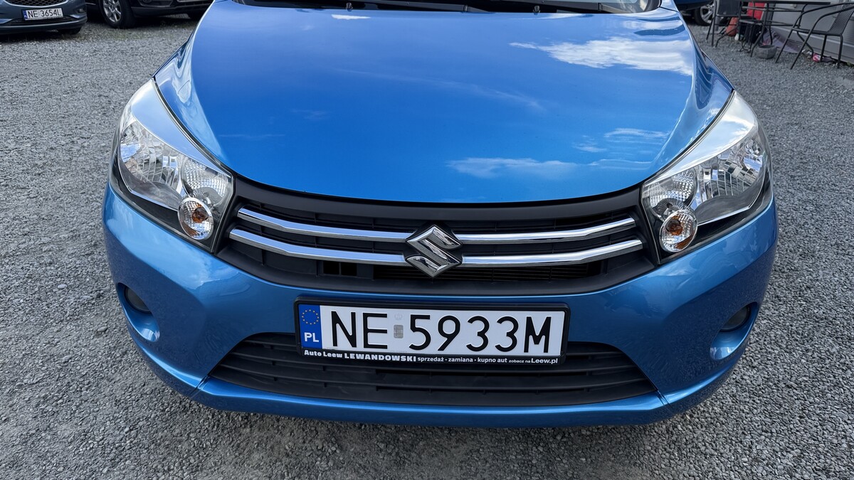 Elbląg Auto Leew LEWANDOWSKI Kupujemy i Sprzedajemy tylko dobre auta Za auta z Polskiego Salonu Płacimy Najwięcej