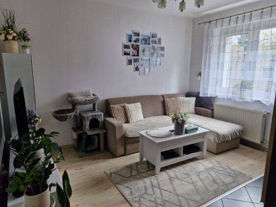 Elbląg Komfortowe 2 pokoje w sercu Elbląga z prywatnym ogródkiem i piwnicą!
Wynajmę funkcjonalne mieszkanie 34 m² na