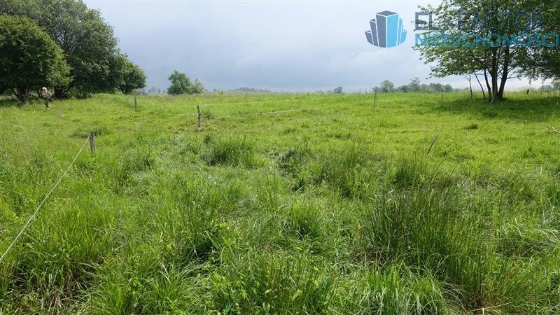 Elbląg Działka 2030 m² pod zabudowę jednorodzinną – Pomorska WieśEL-FACTOR Nieruchomości | atrakcyjna