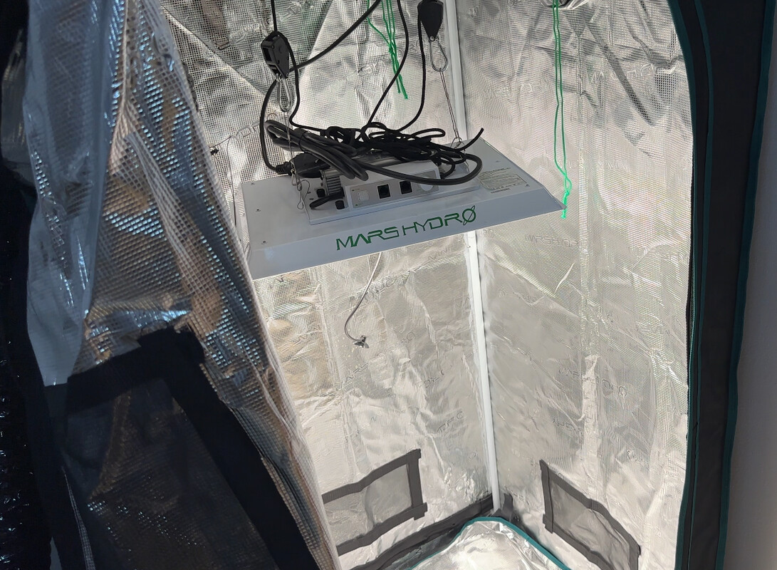 Elbląg Używany growbox Mars Hydro w dobrym stanie - zestaw kompletny i gotowy do użytku od razu po złożeniu!
W